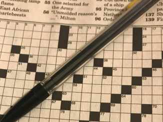 German Article Crossword Clue