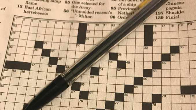 German Article Crossword Clue