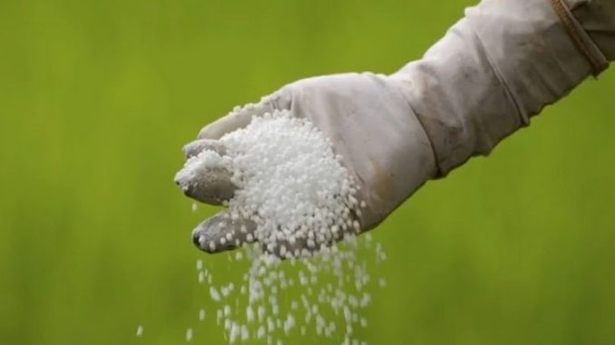 disadvantages of chemical fertilizers