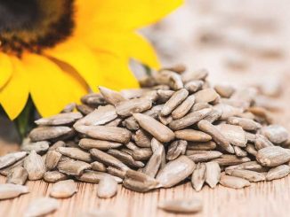 side effects of sunflower seeds