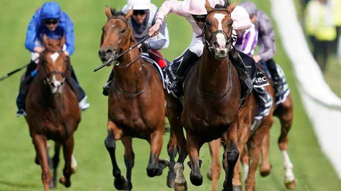 What Are Exotic Bets In Horse Racing? - SifetBabo