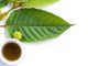 What are the benefits of kratom?