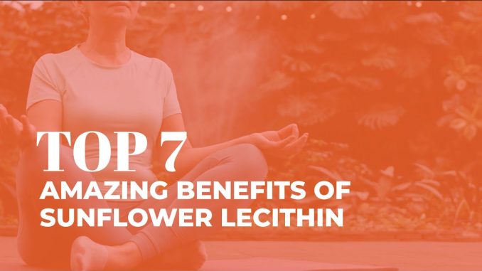 7 Amazing Benefits Of Sunflower Lecithin