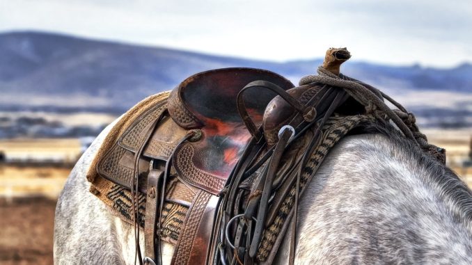 Cowboy Games for Wild West Fanatics